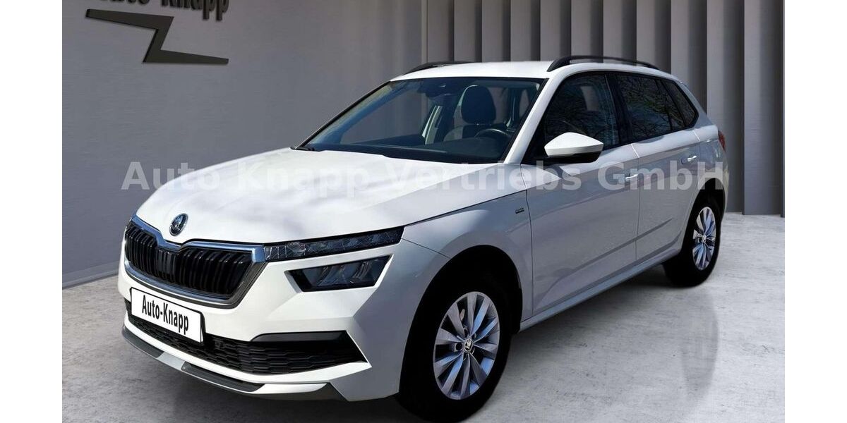 Skoda Kamiq 99.600 km 18.990 &euro; Aichwald 73773