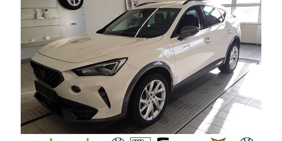 Cupra Formentor 29.255 km 25.248 &euro; Zell u.A. 73119