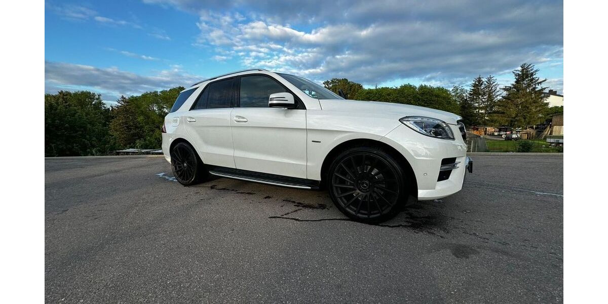 Mercedes-Benz ML 350 196.000 km 22.500 &euro; Weil im Schönbuch 71093