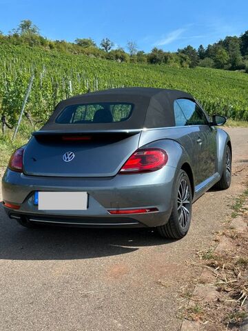 Gebrauchte VW Beetle