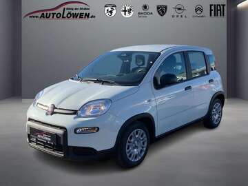 Gebrauchte Fiat Panda