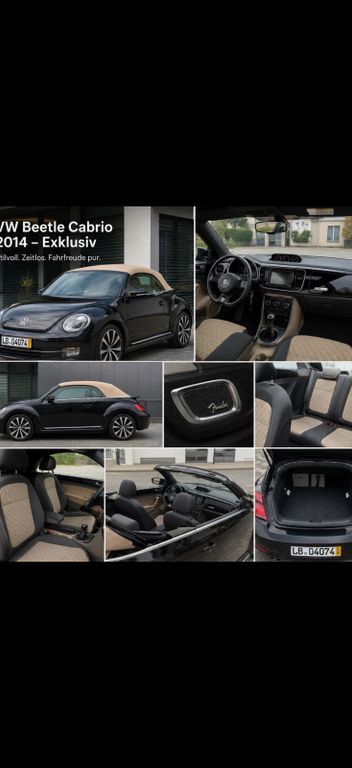 Gebrauchte VW Beetle